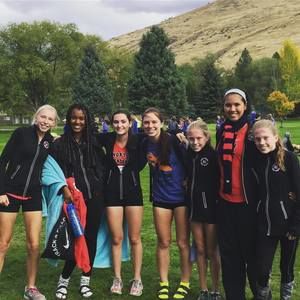 Meet your Posher, Erinn